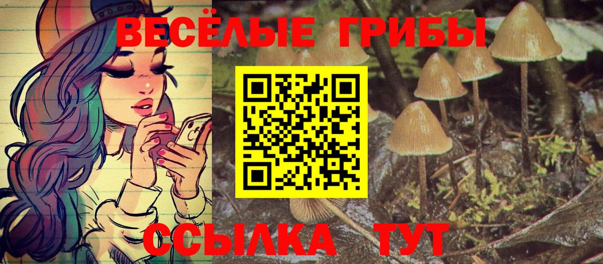 Псилоцибиновые грибы мицелий Татарск