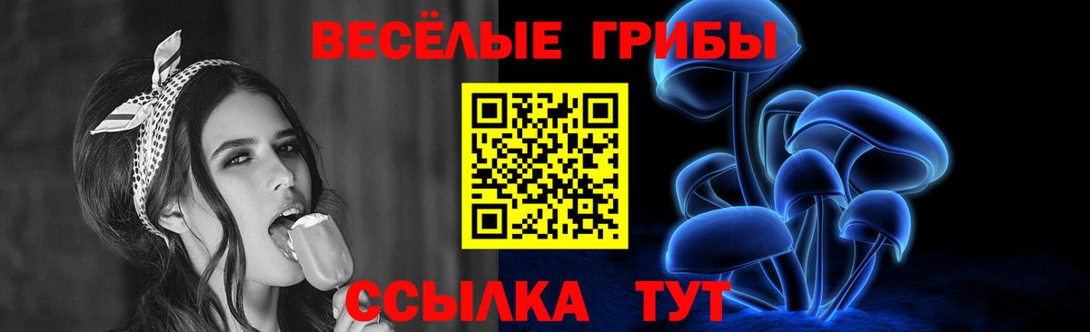 Татарск  Галлюциногенные грибы Cubensis  Вход с VPN 